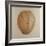 Coconut, Sri Lanka, 2010-Lincoln Seligman-Framed Giclee Print