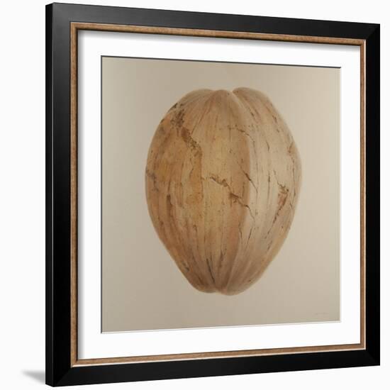 Coconut, Sri Lanka, 2010-Lincoln Seligman-Framed Giclee Print