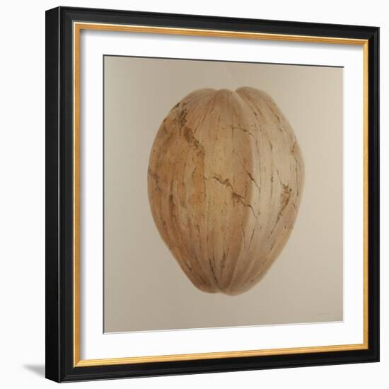 Coconut, Sri Lanka, 2010-Lincoln Seligman-Framed Giclee Print