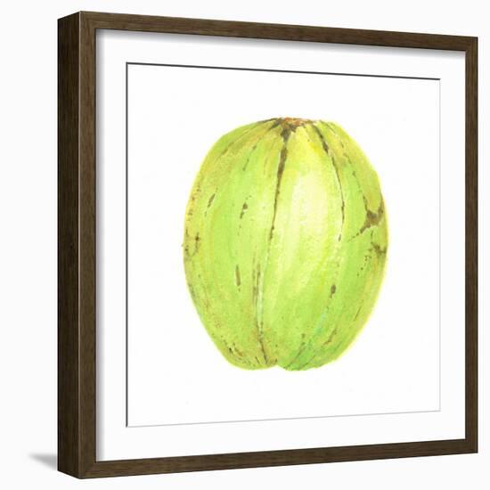 Coconut, Sri Lanka, 2015-Lincoln Seligman-Framed Giclee Print