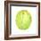 Coconut, Sri Lanka, 2015-Lincoln Seligman-Framed Giclee Print