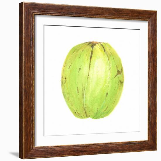 Coconut, Sri Lanka, 2015-Lincoln Seligman-Framed Giclee Print