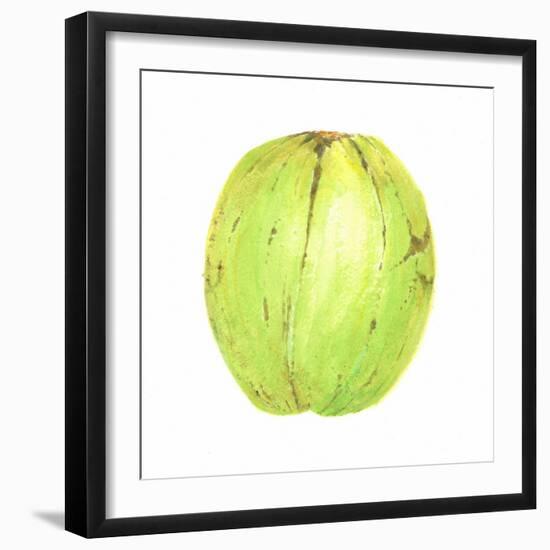 Coconut, Sri Lanka, 2015-Lincoln Seligman-Framed Giclee Print