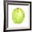 Coconut, Sri Lanka, 2015-Lincoln Seligman-Framed Giclee Print