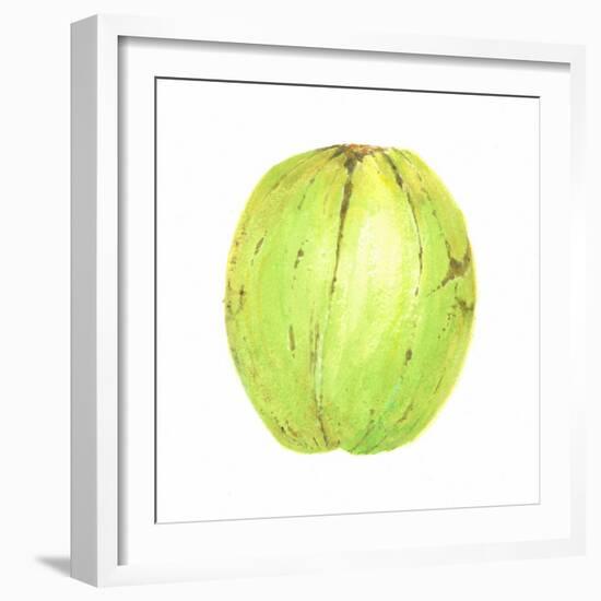 Coconut, Sri Lanka, 2015-Lincoln Seligman-Framed Giclee Print