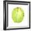 Coconut, Sri Lanka, 2015-Lincoln Seligman-Framed Giclee Print