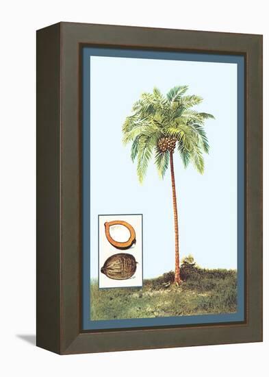 Coconut-null-Framed Stretched Canvas