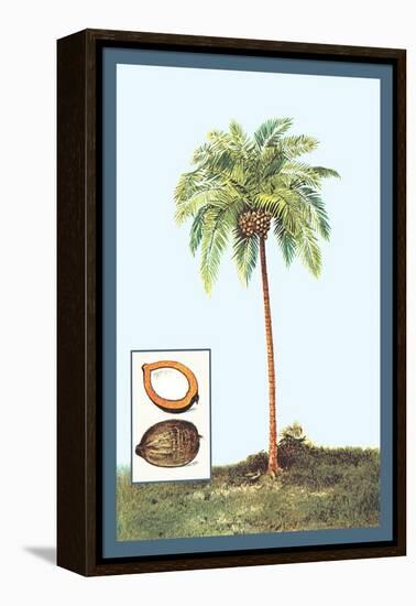 Coconut-null-Framed Stretched Canvas