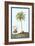 Coconut-null-Framed Art Print