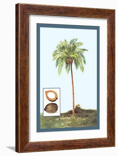 Coconut-null-Framed Art Print