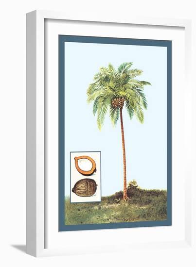 Coconut-null-Framed Art Print