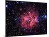 Cocoon Nebula-Stocktrek Images-Mounted Photographic Print