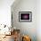 Cocoon Nebula-Stocktrek Images-Framed Photographic Print displayed on a wall