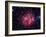 Cocoon Nebula-Stocktrek Images-Framed Photographic Print