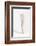 Cocoon-Ross Oscar-Framed Photographic Print