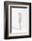 Cocoon-Ross Oscar-Framed Photographic Print