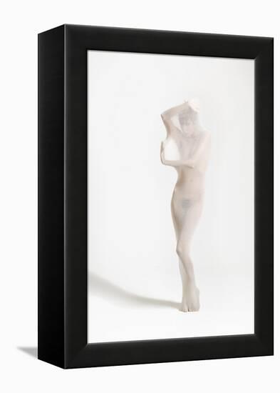 Cocoon-Ross Oscar-Framed Premier Image Canvas