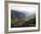 Cocora Valley, Salento, Colombia, South America-Christian Kober-Framed Photographic Print