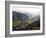 Cocora Valley, Salento, Colombia, South America-Christian Kober-Framed Photographic Print