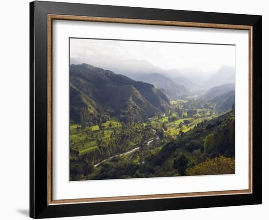 Cocora Valley, Salento, Colombia, South America-Christian Kober-Framed Photographic Print