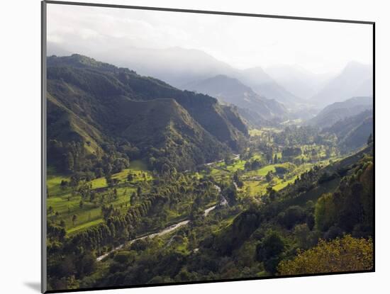 Cocora Valley, Salento, Colombia, South America-Christian Kober-Mounted Photographic Print