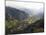 Cocora Valley, Salento, Colombia, South America-Christian Kober-Mounted Photographic Print