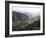 Cocora Valley, Salento, Colombia, South America-Christian Kober-Framed Photographic Print