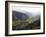 Cocora Valley, Salento, Colombia, South America-Christian Kober-Framed Photographic Print