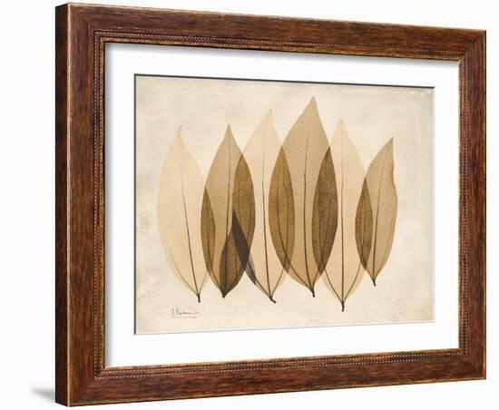 Coculus Leaf Moments-Albert Koetsier-Framed Art Print