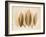 Coculus Leaf Moments-Albert Koetsier-Framed Art Print