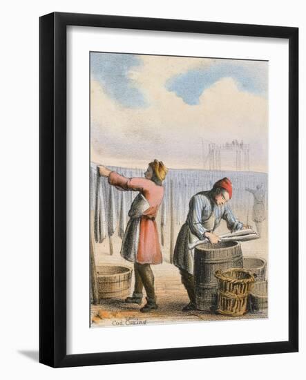 Cod Curing, C1845-Benjamin Waterhouse Hawkins-Framed Giclee Print