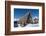 Cod Fish Drying, Svolvaer, Lofoten Islands, Nordland, Arctic, Norway, Scandinavia-Sergio Pitamitz-Framed Photographic Print