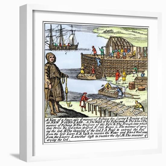 Cod Fishermen Drying and Salting Fish on the Newfoundland Coast, c.1700-null-Framed Giclee Print