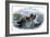 Cod Fishermen in a Small Boat Off the New England Coast-null-Framed Giclee Print