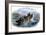 Cod Fishermen in a Small Boat Off the New England Coast-null-Framed Giclee Print
