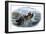 Cod Fishermen in a Small Boat Off the New England Coast-null-Framed Giclee Print