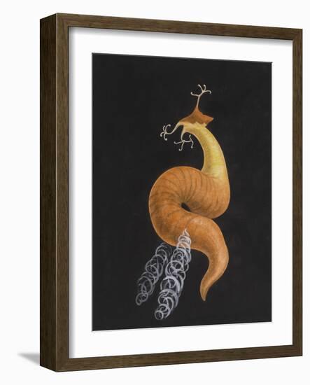 Cod Worm-Philip Henry Gosse-Framed Giclee Print