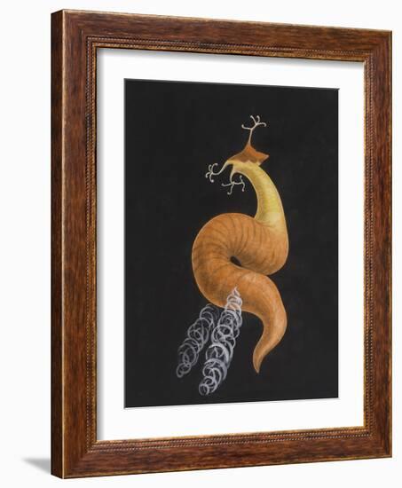 Cod Worm-Philip Henry Gosse-Framed Giclee Print