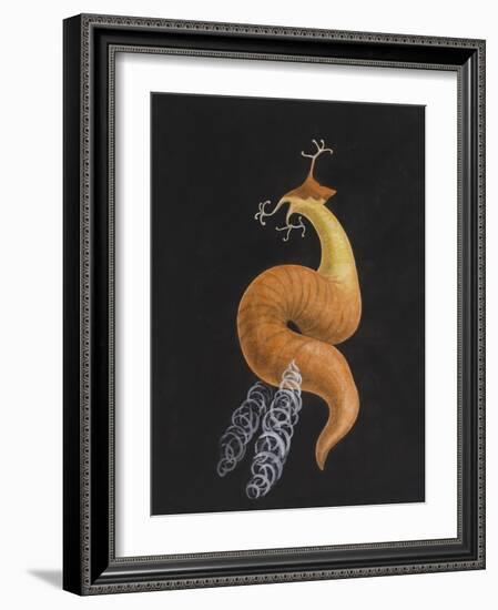 Cod Worm-Philip Henry Gosse-Framed Giclee Print