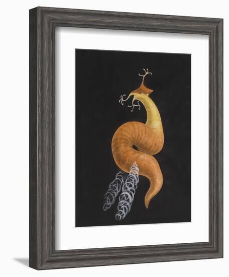 Cod Worm-Philip Henry Gosse-Framed Giclee Print