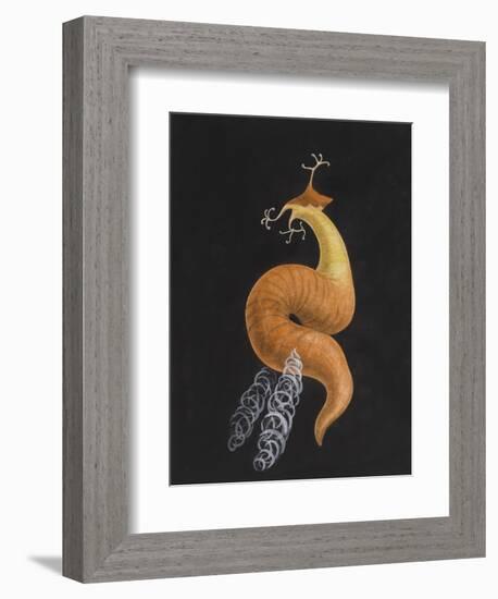 Cod Worm-Philip Henry Gosse-Framed Giclee Print