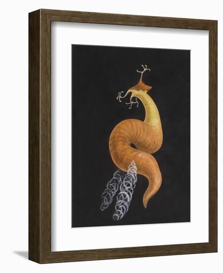 Cod Worm-Philip Henry Gosse-Framed Giclee Print