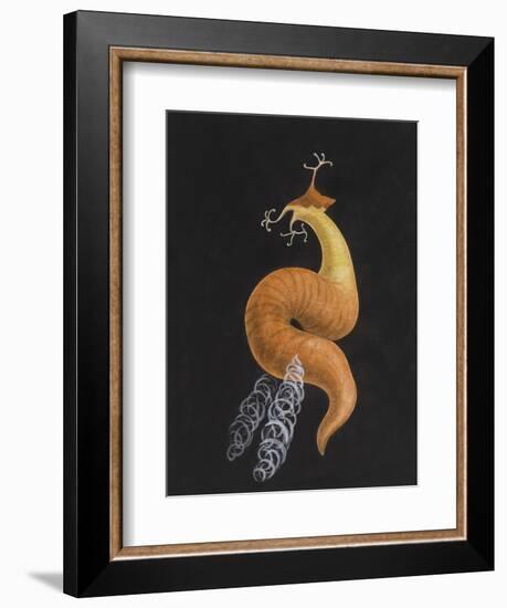 Cod Worm-Philip Henry Gosse-Framed Giclee Print