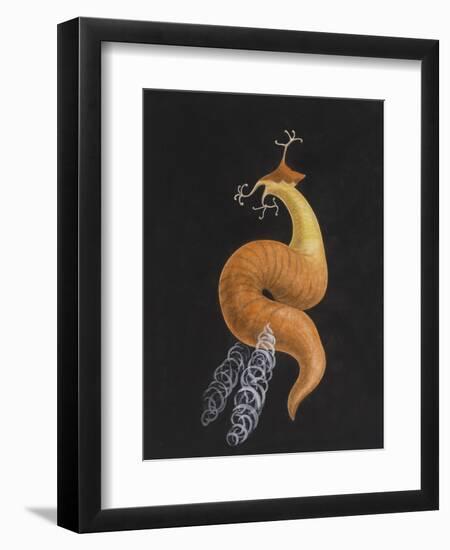 Cod Worm-Philip Henry Gosse-Framed Giclee Print