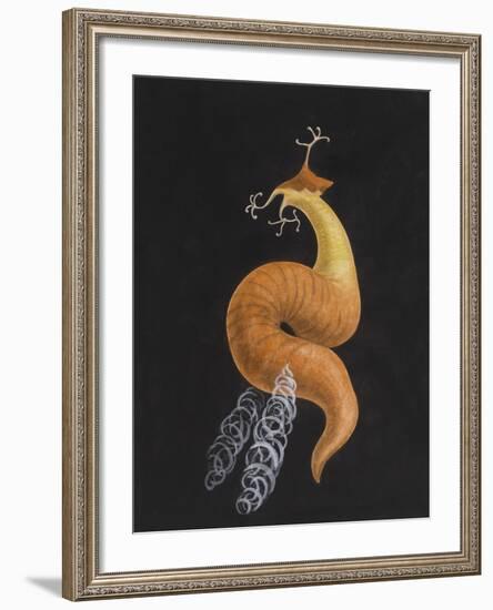 Cod Worm-Philip Henry Gosse-Framed Giclee Print