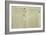 Codex Hammer Pages 124-127-Leonardo da Vinci-Framed Giclee Print