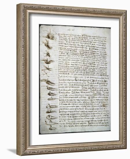 Codex Leicester: Water Flow-Leonardo da Vinci-Framed Giclee Print