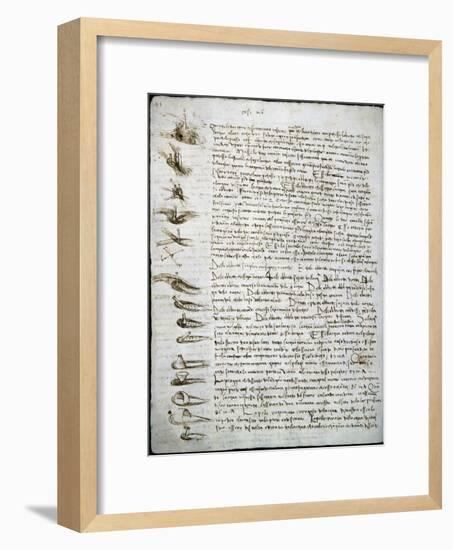 Codex Leicester: Water Flow-Leonardo da Vinci-Framed Giclee Print