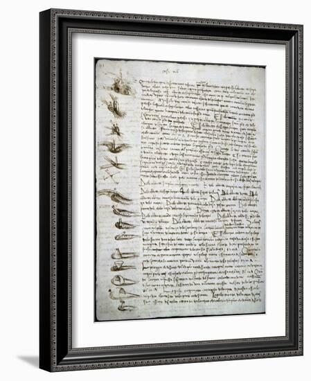 Codex Leicester: Water Flow-Leonardo da Vinci-Framed Giclee Print