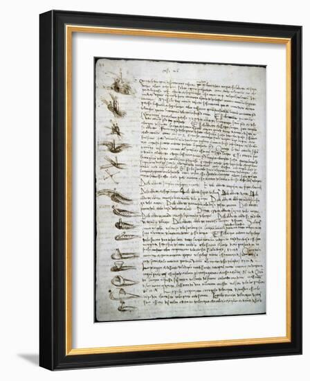 Codex Leicester: Water Flow-Leonardo da Vinci-Framed Giclee Print